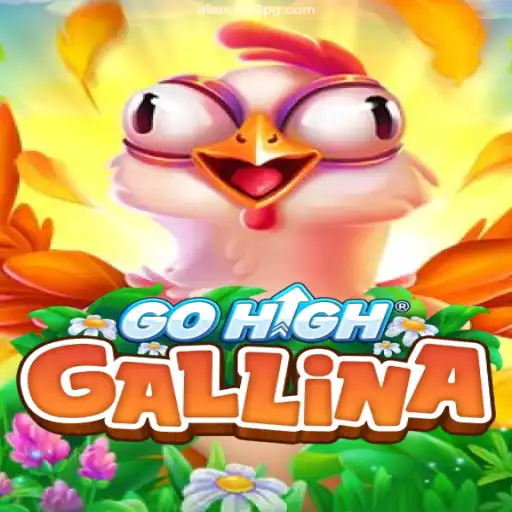 Discovering GoHighGallina: A Dive into Brazil's Favorite Game